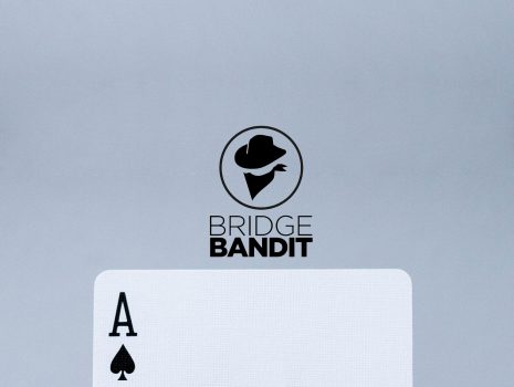 Bridge Bandit